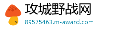 攻城野战网